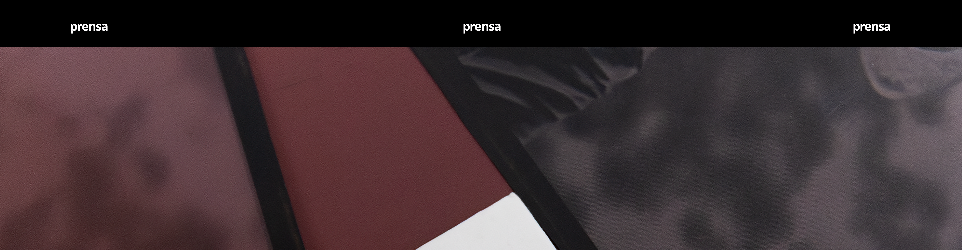 PRENSA