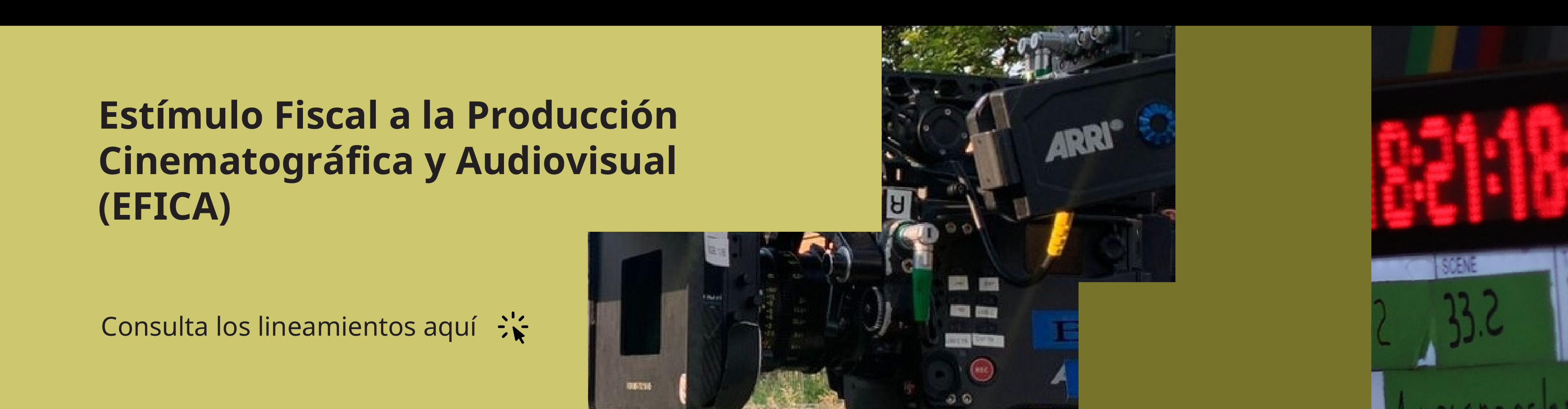 Imagen del carrusel